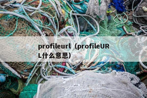 profileurl（profileURL什么意思）