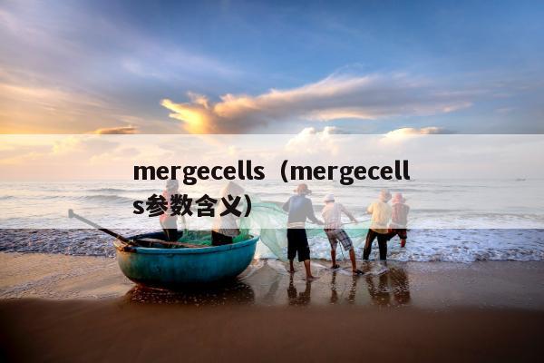 mergecells（mergecells参数含义）