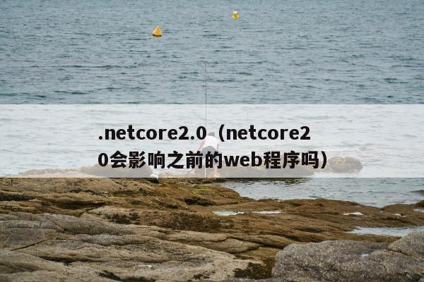 .netcore2.0（netcore20会影响之前的web程序吗）