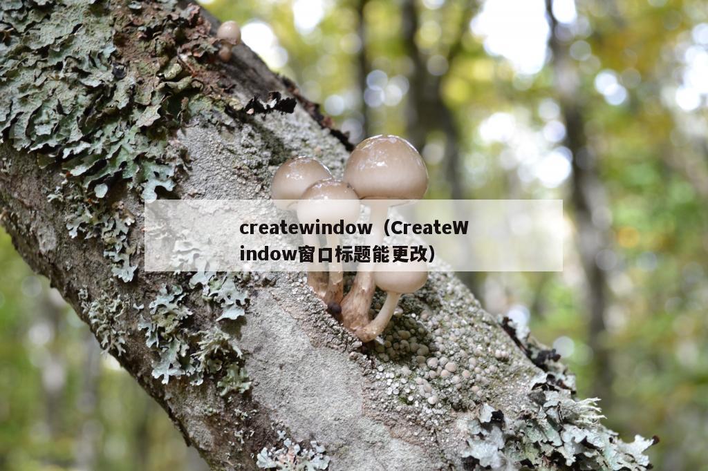 createwindow（CreateWindow窗口标题能更改）