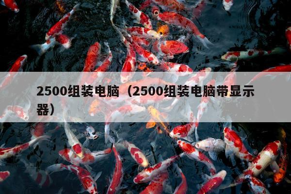 2500组装电脑（2500组装电脑带显示器）