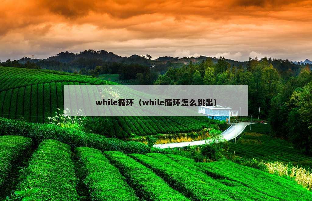 while循环（while循环怎么跳出）