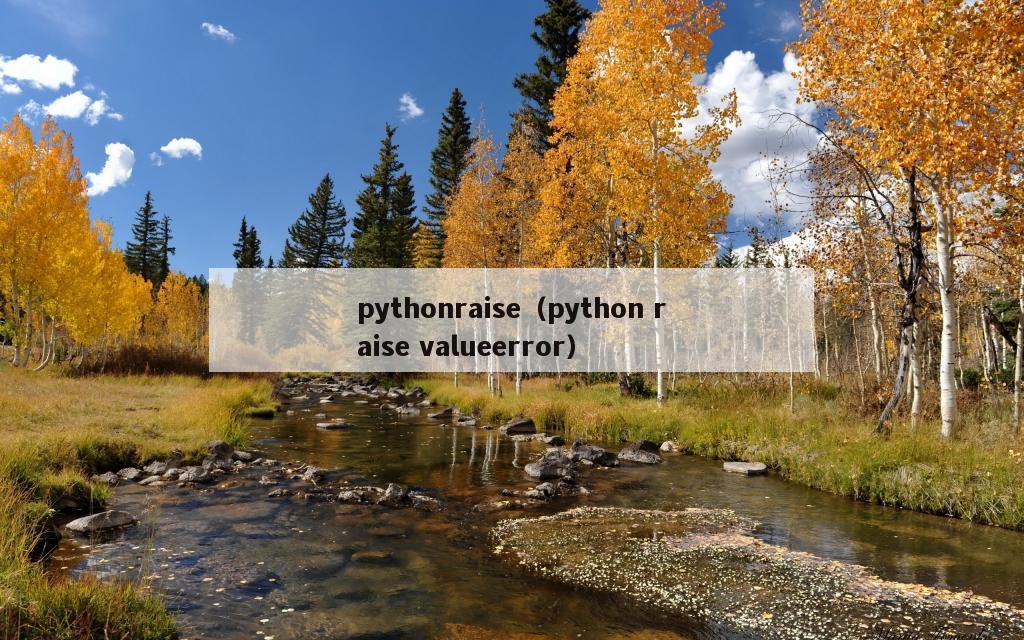 pythonraise（python raise valueerror）