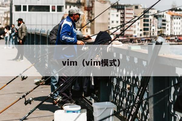 vim（vim模式）