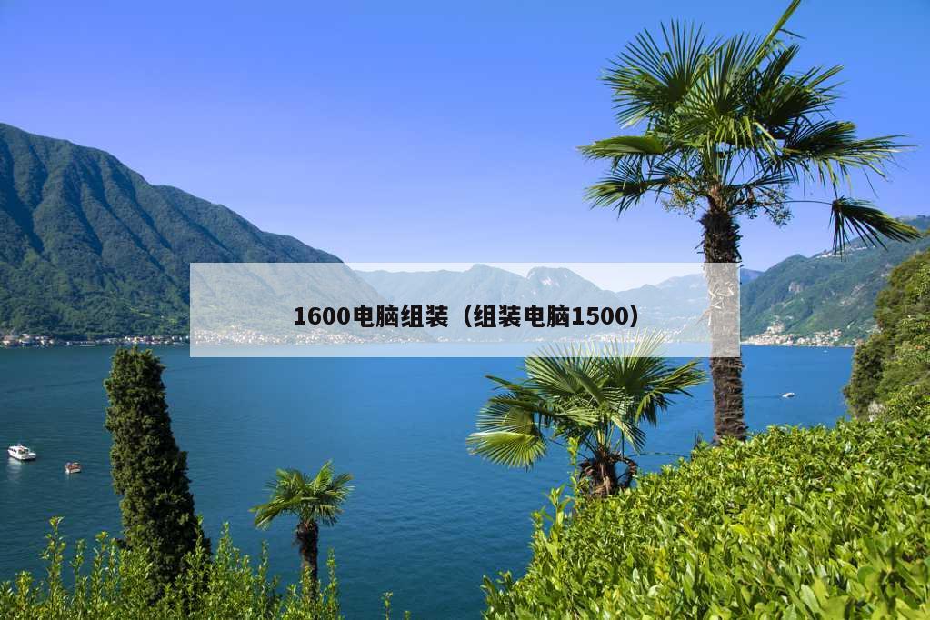 1600电脑组装（组装电脑1500）