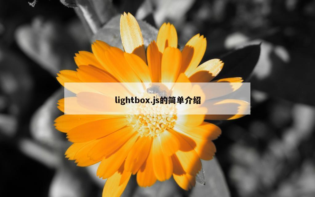 lightbox.js的简单介绍