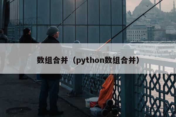 数组合并（python数组合并）