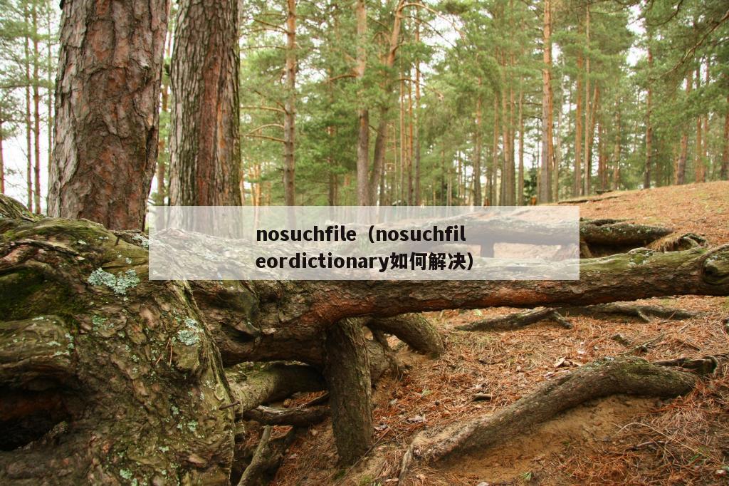 nosuchfile（nosuchfileordictionary如何解决）