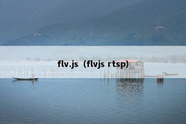 flv.js（flvjs rtsp）