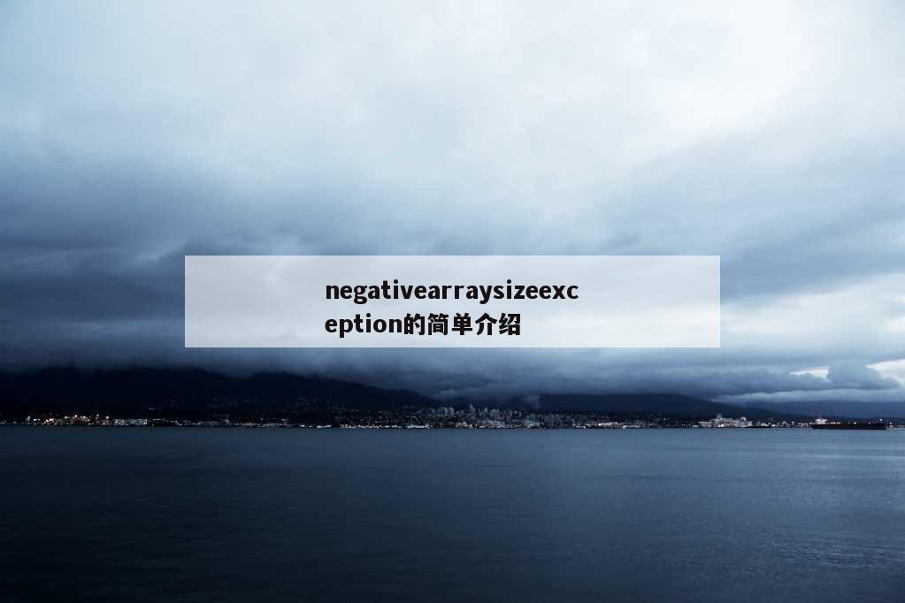 negativearraysizeexception的简单介绍