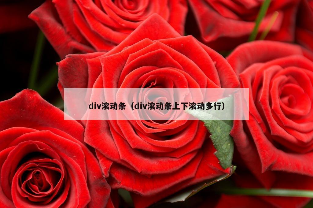 div滚动条（div滚动条上下滚动多行）