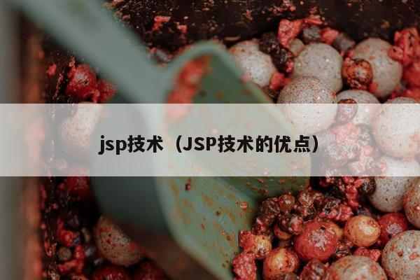 jsp技术（JSP技术的优点）