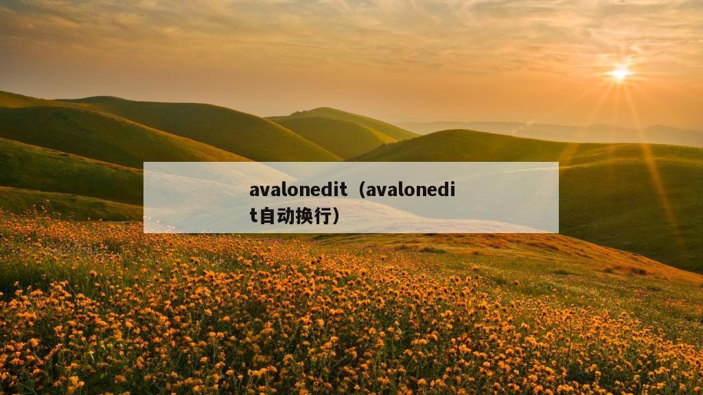 avalonedit（avalonedit自动换行）