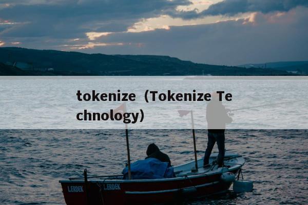 tokenize（Tokenize Technology）