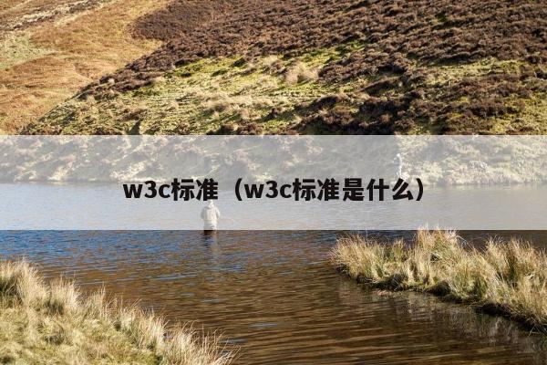 w3c标准（w3c标准是什么）