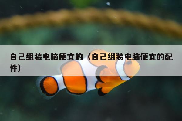 自己组装电脑便宜的（自己组装电脑便宜的配件）