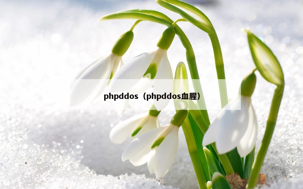 phpddos（phpddos血腥）