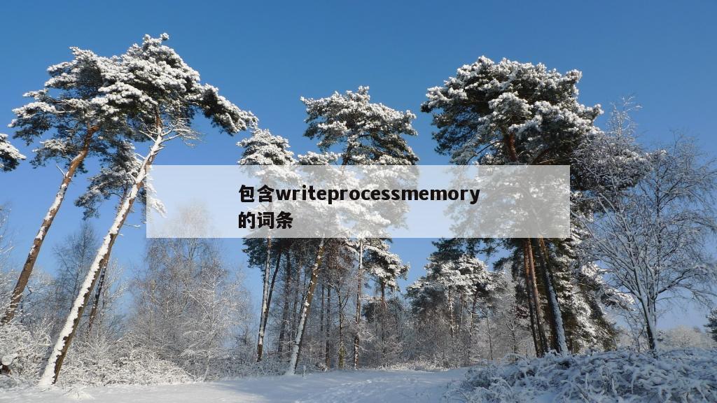 包含writeprocessmemory的词条