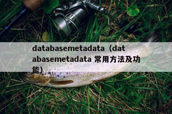 databasemetadata（databasemetadata 常用方法及功能）