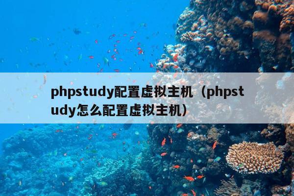 phpstudy配置虚拟主机（phpstudy怎么配置虚拟主机）