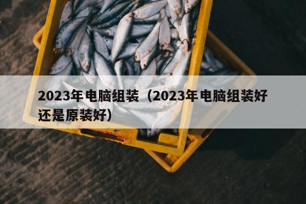 2023年电脑组装（2023年电脑组装好还是原装好）