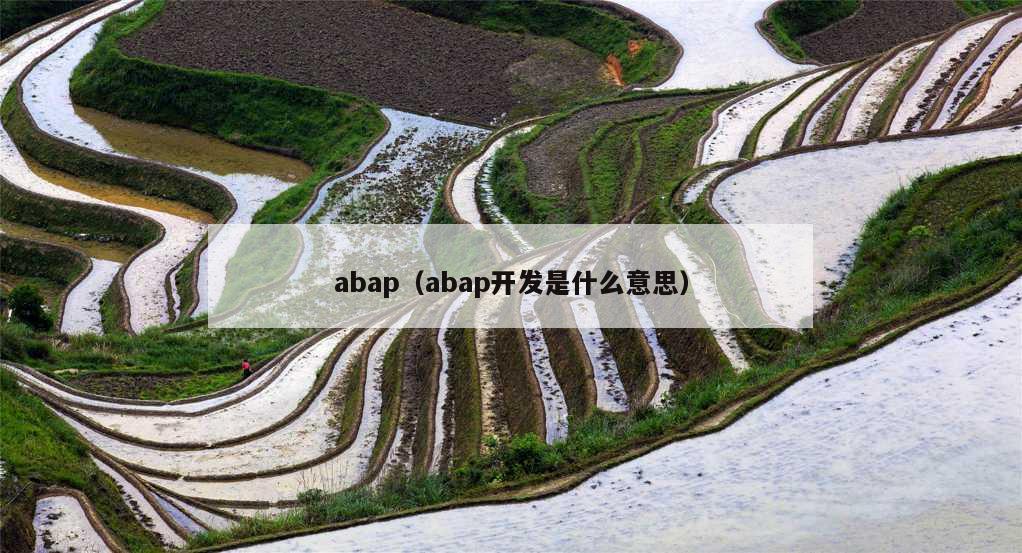 abap（abap开发是什么意思）