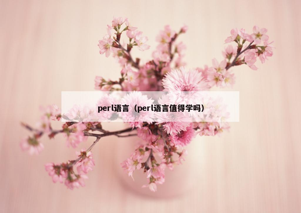 perl语言（perl语言值得学吗）