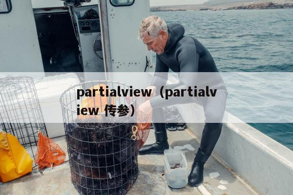 partialview（partialview 传参）