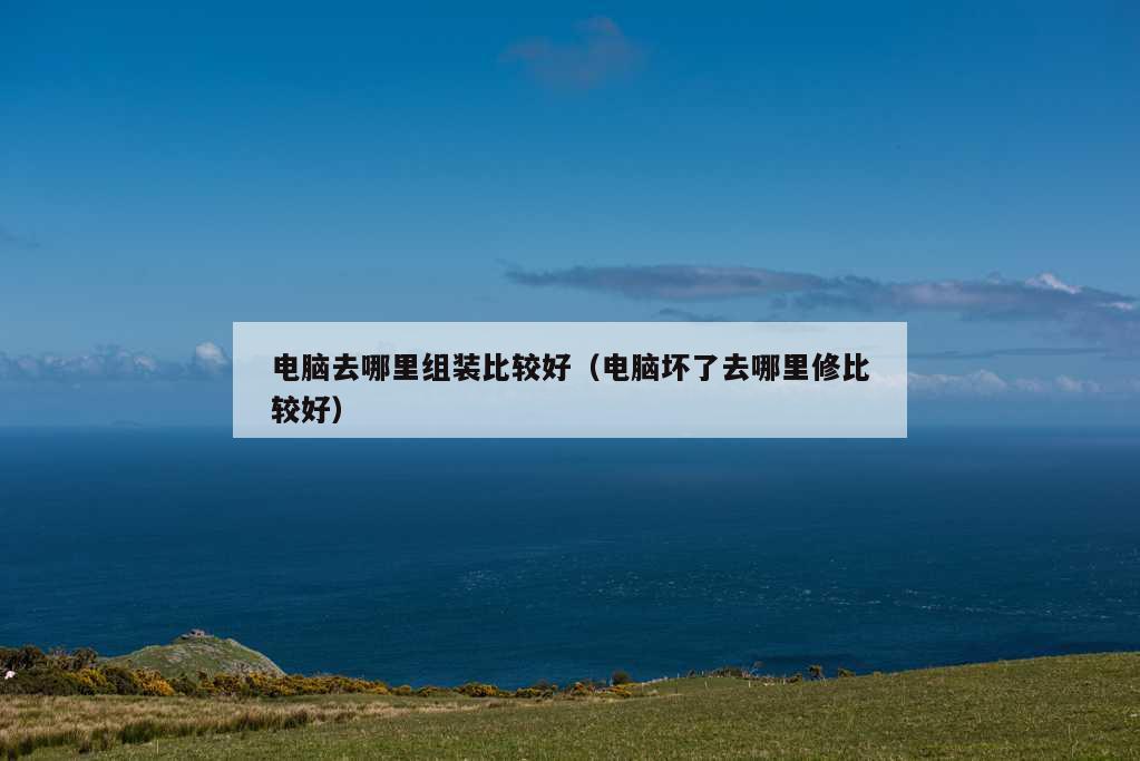 电脑去哪里组装比较好（电脑坏了去哪里修比较好）