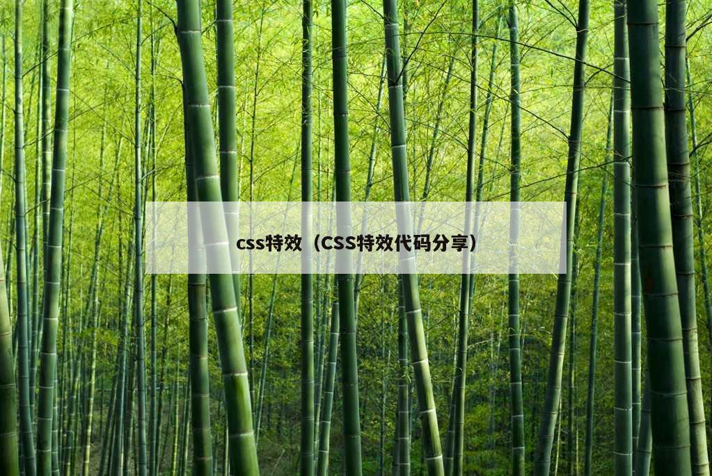 css特效（CSS特效代码分享）