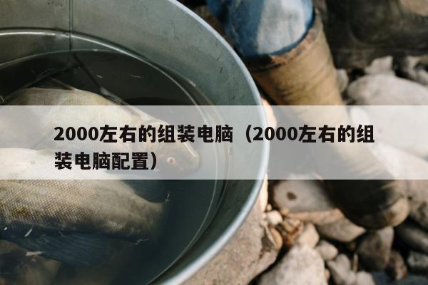 2000左右的组装电脑（2000左右的组装电脑配置）