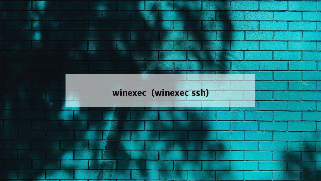 winexec（winexec ssh）