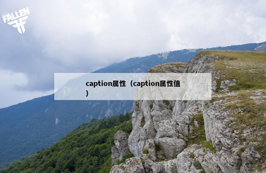 caption属性（caption属性值）