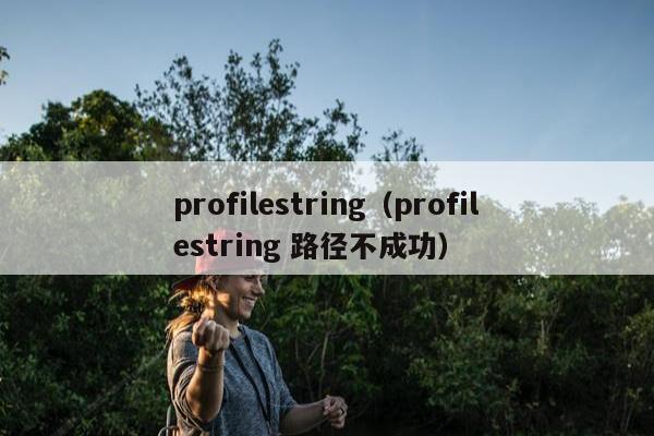 profilestring（profilestring 路径不成功）