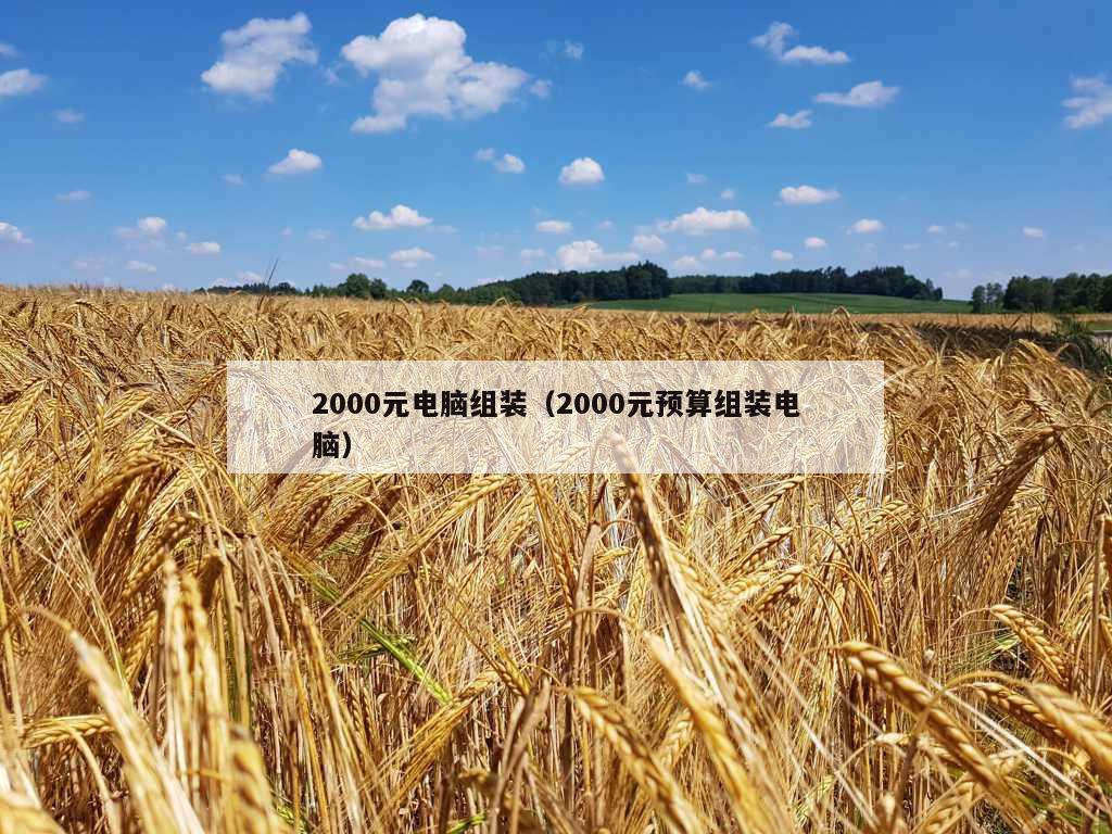 2000元电脑组装（2000元预算组装电脑）