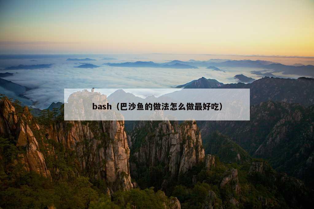 bash（巴沙鱼的做法怎么做最好吃）