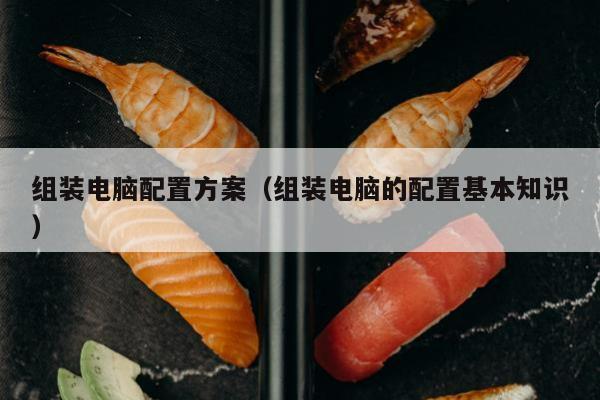 组装电脑配置方案（组装电脑的配置基本知识）