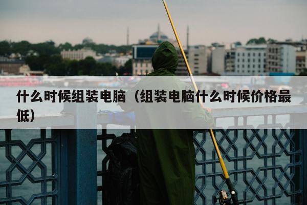 什么时候组装电脑（组装电脑什么时候价格最低）