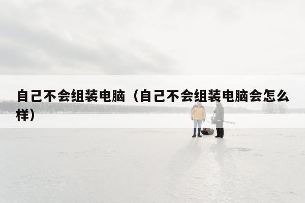 自己不会组装电脑（自己不会组装电脑会怎么样）