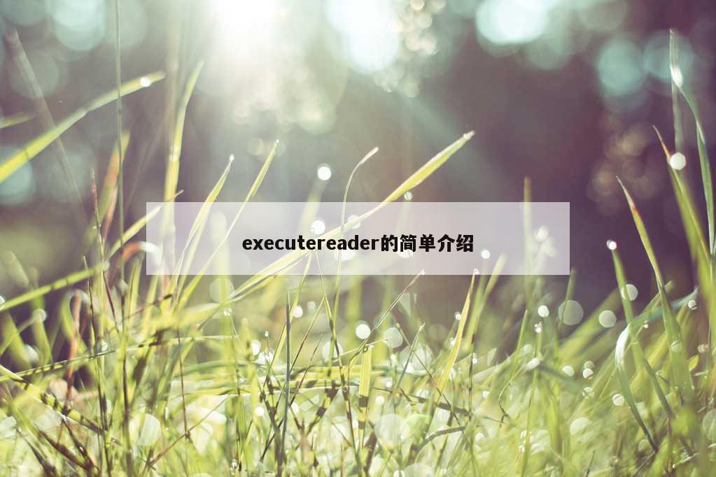 executereader的简单介绍