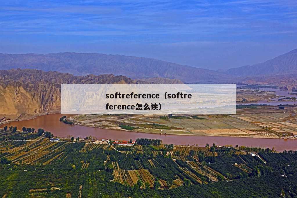 softreference（softreference怎么读）