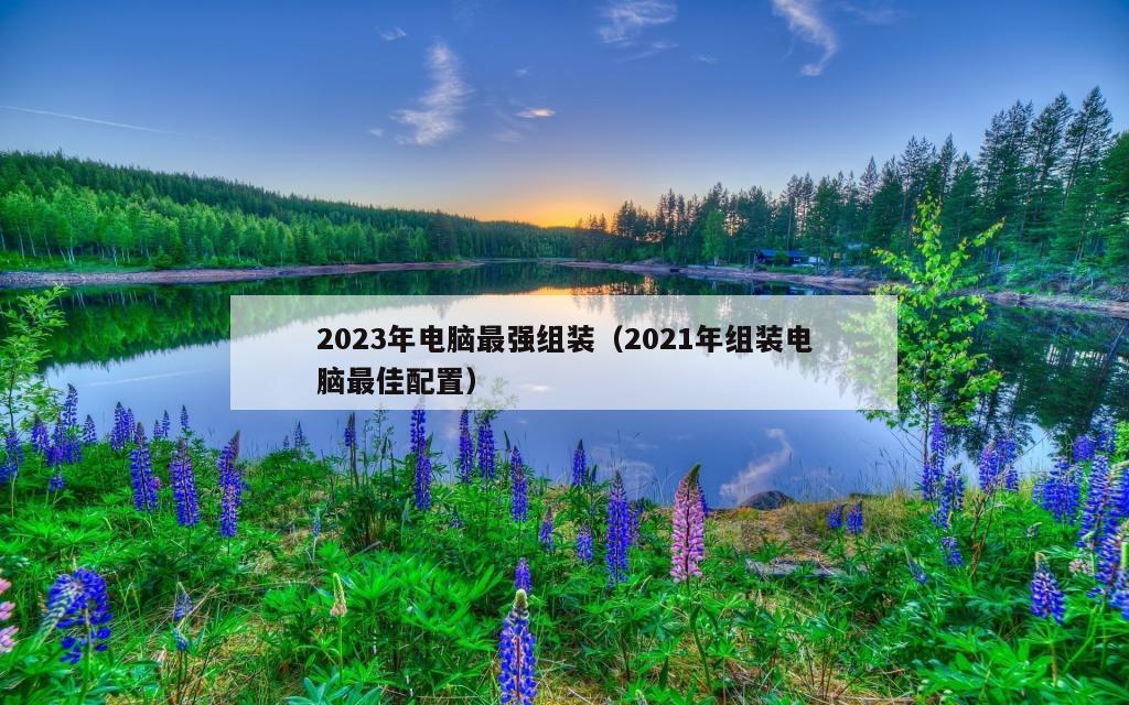 2023年电脑最强组装（2021年组装电脑最佳配置）