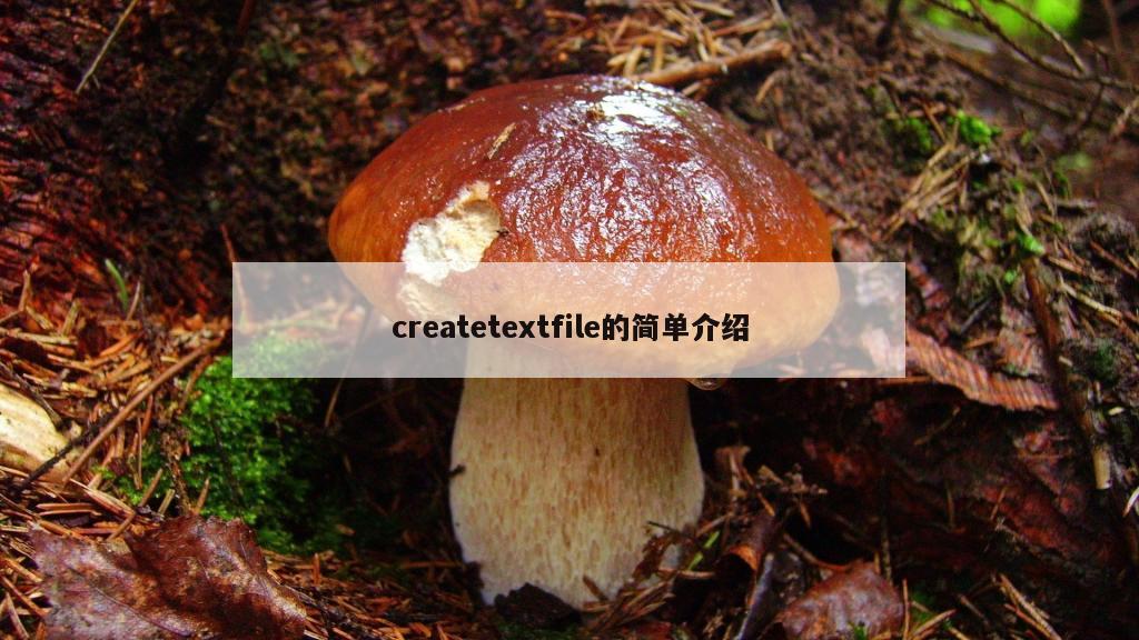 createtextfile的简单介绍