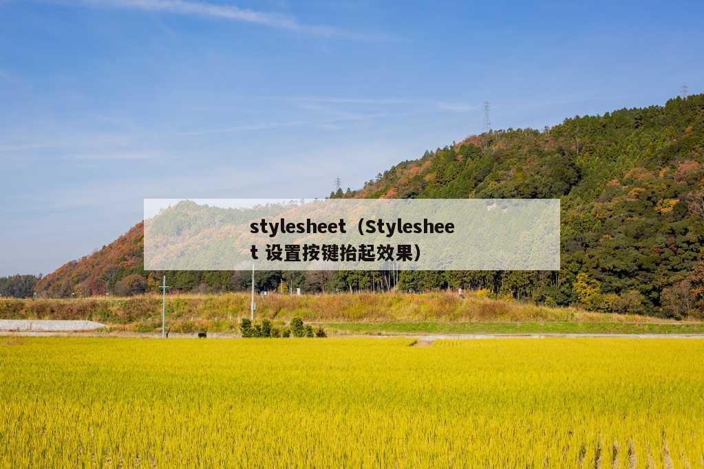 stylesheet（Stylesheet 设置按键抬起效果）