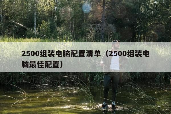 2500组装电脑配置清单（2500组装电脑最佳配置）