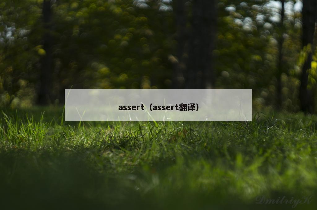 assert（assert翻译）