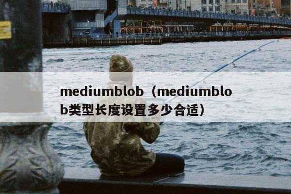 mediumblob（mediumblob类型长度设置多少合适）