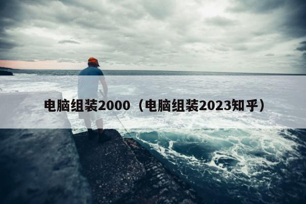 电脑组装2000（电脑组装2023知乎）