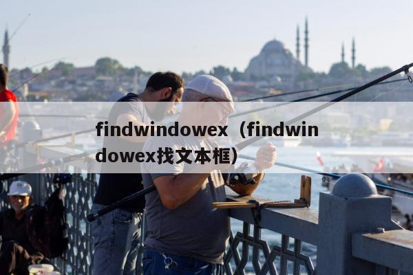 findwindowex（findwindowex找文本框）