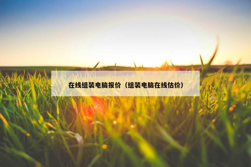 在线组装电脑报价（组装电脑在线估价）